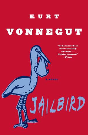 Cover of the book Jailbird by RK Wheeler