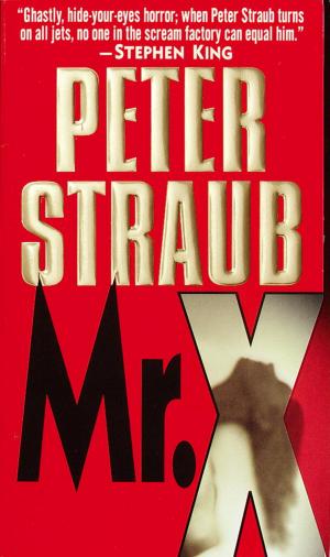 Cover of the book Mr. X by Robert W. Black
