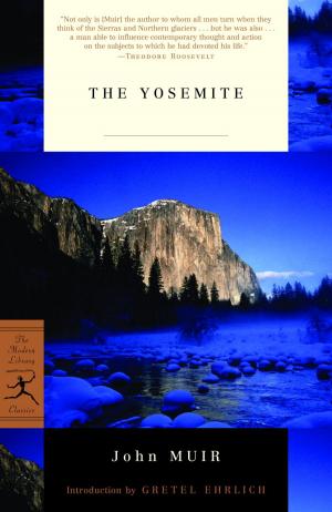 Cover of the book The Yosemite by Anne Perry