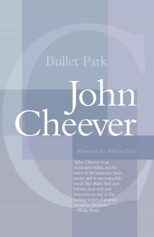 Book cover of Bullet Park