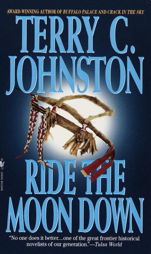 Cover of the book Ride the Moon Down by Jean Stone