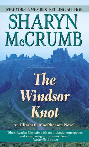 bigCover of the book Windsor Knot by 