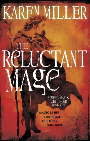 Cover of the book The Reluctant Mage by Peter Higgins
