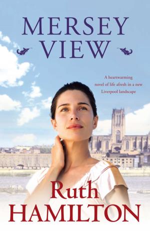 Cover of the book Mersey View by Edith Olivier