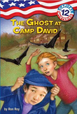 Cover of the book Capital Mysteries #12: The Ghost at Camp David by Graham Rawle