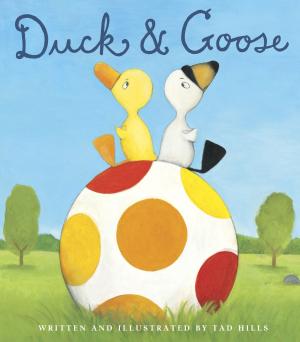 Cover of the book Duck & Goose by David Almond