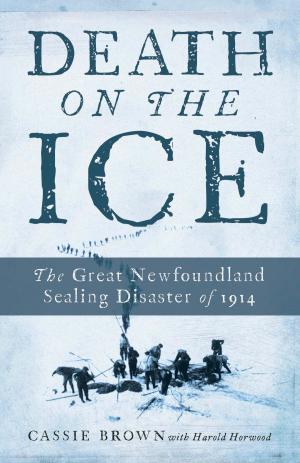 Cover of the book Death On The Ice by Christie Blatchford