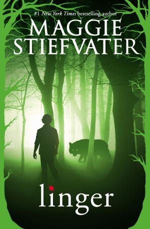 Cover of the book Linger by Steve Viglione