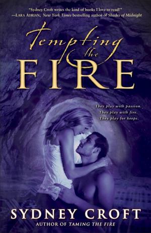 bigCover of the book Tempting the Fire by 