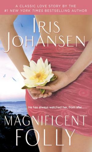Cover of the book Magnificent Folly by Tracy McMillan