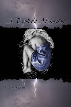 bigCover of the book A Twilight Abduction (Alex & Fiona, book 3) by 