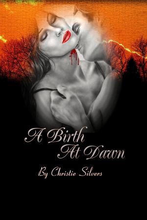 Cover of the book A Birth At Dawn (Alex & Fiona, book 2) by Christie Silvers
