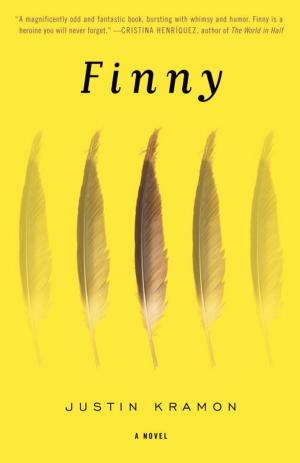 Cover of the book Finny by Diana Gabaldon