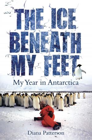 Cover of the book The Ice Beneath My Feet by Michael Sexton, Judy Steel