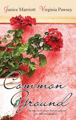 Cover of the book Common Ground by Peter Hannan