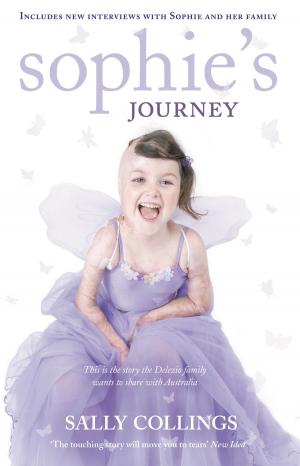 Cover of the book Sophie's Journey by Hans Smedema