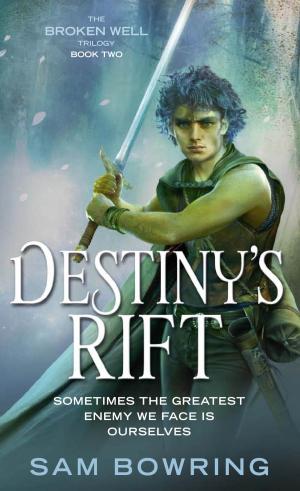 Cover of the book Destiny's Rift by John Larkin