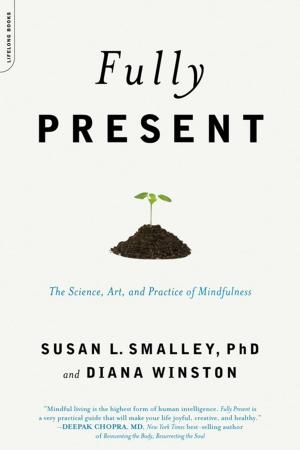 Cover of the book Fully Present by John Clarke