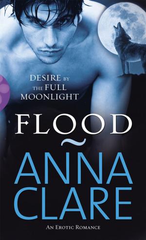 Cover of the book Flood by Una McCormack