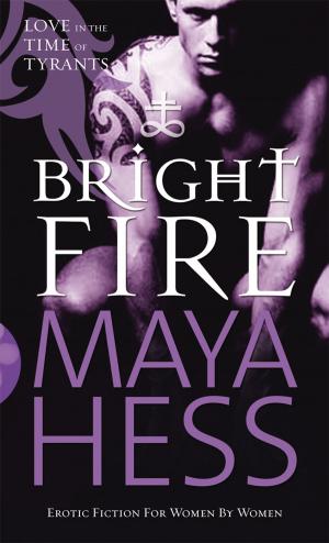 Cover of the book Bright Fire by Yolanda Celbridge