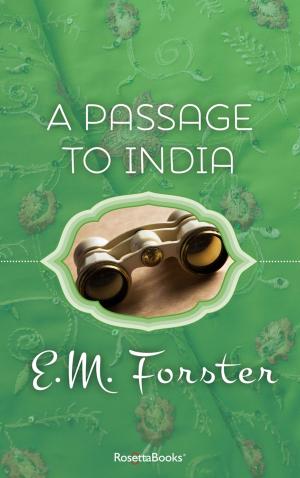Cover of the book A Passage to India by Eugene Burdick, Harvey Wheeler