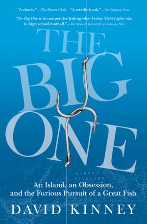 Book cover of The Big One