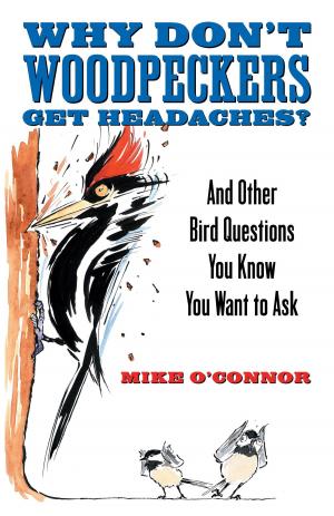 Cover of the book Why Don't Woodpeckers Get Headaches? by Rebecca A. Eckland, Ginger Lerner-Wren
