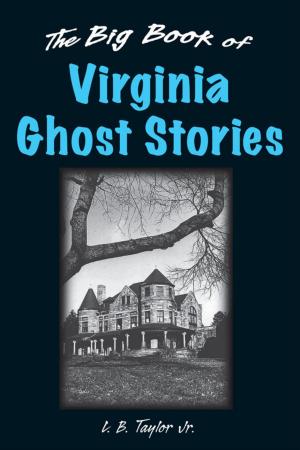 Cover of the book The Big Book of Virginia Ghost Stories by Jim Chase