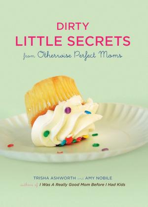 Book cover of Dirty Little Secrets from Otherwise Perfect Moms