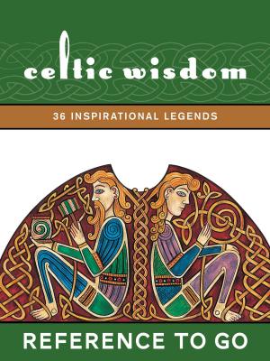 Cover of the book Celtic Wisdom: Reference to Go by Andy Riley