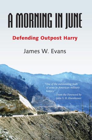 Cover of the book A Morning in June by Donald V. Coers