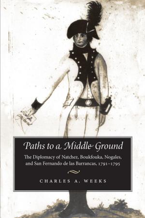 bigCover of the book Paths to a Middle Ground by 