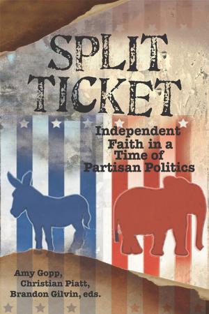 Cover of the book Split Ticket by David Phillips Hansen