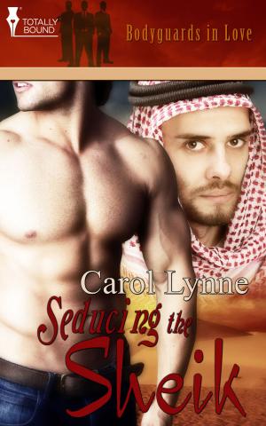Book cover of Seducing the Sheik