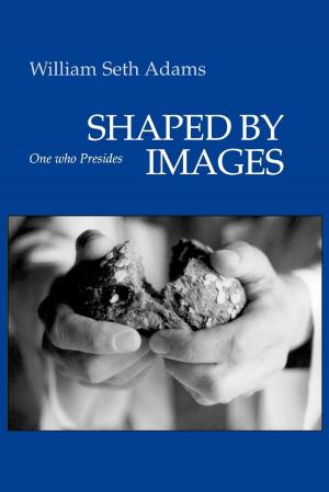 Cover of the book Shaped by Images by Jerome W. Berryman