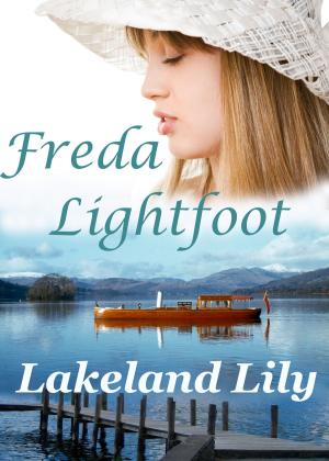Cover of the book Lakeland Lily by Freda Lightfoot writing as Marion Carr