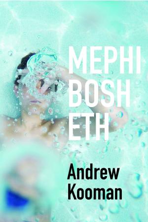 Cover of the book Mephibosheth by Andrew Smith