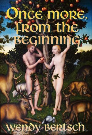 Cover of the book Once More, From the Beginning by Dov Beril Edelstein