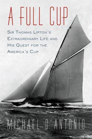 Cover of the book A Full Cup by A.H.Z. Carr