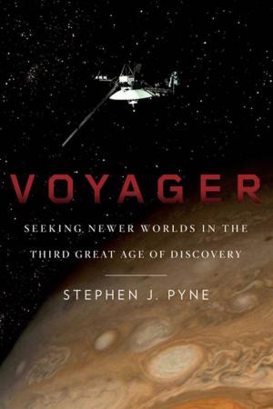 Cover of the book Voyager by Wesley Ellis