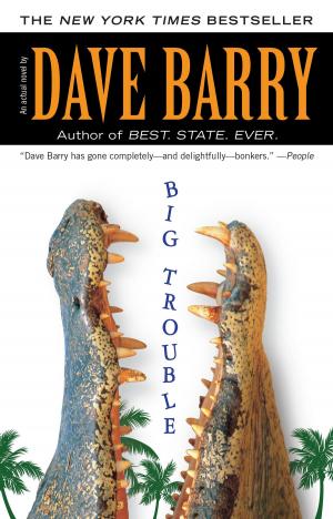 Cover of the book Big Trouble by Chang-rae Lee