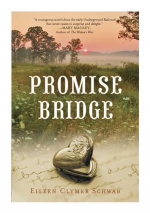 Cover of the book Promise Bridge by Tony Alan Grayson