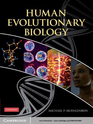 Cover of the book Human Evolutionary Biology by Victoria Rimell
