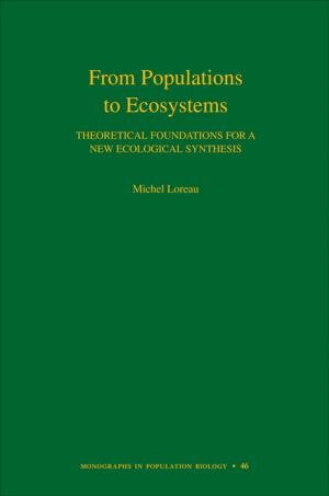Cover of the book From Populations to Ecosystems by Maurizio Viroli