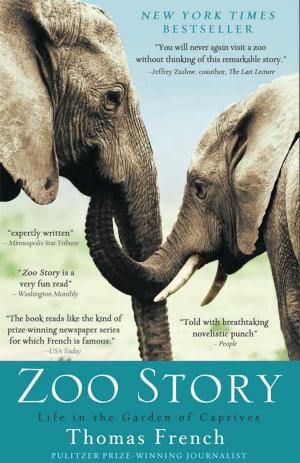 Cover of the book Zoo Story by Jeffry D. Wert