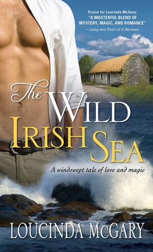 Cover of the book The Wild Irish Sea by Jeffrey Siger