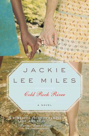 Cover of the book Cold Rock River by Anne Elizabeth