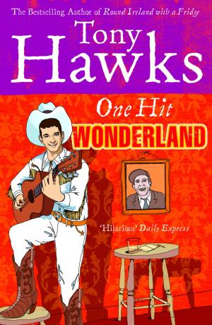 Cover of the book One Hit Wonderland by Alex Games