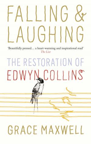 Cover of the book Falling and Laughing by Gareth Roberts