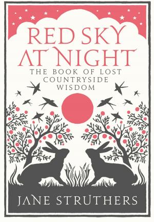 Cover of the book Red Sky at Night by Ebury Publishing